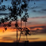 galeria moa, fotografia diseño, arte, decoración, cuadros, Paola Campo Soto, atardecer, paisaje