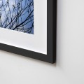 Galeria Moa, fotografia, arte, diseño, decoración, cuadros, Paola, campo , Soto, árbol, pájaro,cielo azul, cumaral, meta, ramas, marco, enmarcado