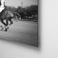 galeria moa, fotografia, diseño, arte, decoración, cuadro, Paola Campo Soto, polo, caballos, deporte, blanco y negro, aluminio, dibord retablo, acabado