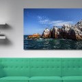 Galeria moa, fotografia, arte, diseño, decoración, cuadros, javier porras, pelicano, isla, Ballestas, cliff, roca, acantilado, mar, pajaro