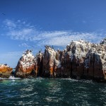 Galeria moa, fotografia, arte, diseño, decoración, cuadros, javier porras, pelicano, isla, Ballestas, cliff, roca, acantilado, mar, pajaro