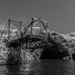 Galeria moa, fotografia, arte, diseño, decoración, cuadros, javier porras, pelicano, isla, Ballestas, cliff, roca, acantilado, mar, pajaro