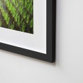 Galeria moa, fotografia, arte, diseño, decoración, cuadros, Santiago Martinez, Arroz, campo, siembra, alimento, Japon, oriental, marco, enmarcado