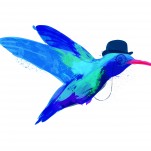 Ilustración, colibrí, Galeria MOA, arte, decoración, cuadro, pájaro, animales, MOA Prints,