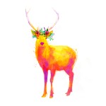 Venado, Galeria MOA, ilustraciones, animal, arte