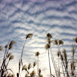 Paisaje, nubes, Natalia Pfeifer, Galeria MOA, fotografía, arte, decoración, Japon