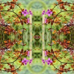 Camila Bruce, fotografia, galeria MOA, arte, diseño, decoracion, flores, collage, naturaleza