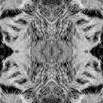 Camila Bruce, fotografia, galeria MOA, arte, diseño, decoracion, pelo, piel