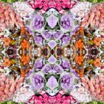 Camila Bruce, fotografia, galeria MOA, arte, diseño, decoracion, flores, collage