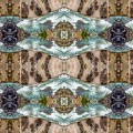 Camila Bruce, fotografia, galeria MOA, arte, diseño, decoracion, naturaleza, yellowstone, abstracto